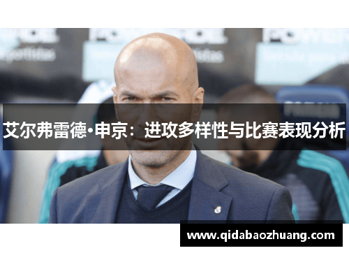 艾尔弗雷德·申京:进攻多样性与比赛表现分析