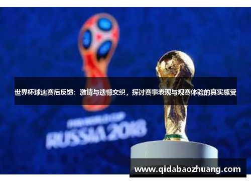 世界杯球迷赛后反馈:激情与遗憾交织,探讨赛事表现与观赛体验的真实感受