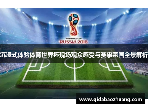 沉浸式体验体育世界杯现场观众感受与赛事氛围全景解析